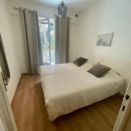 Apartment Water Lily *