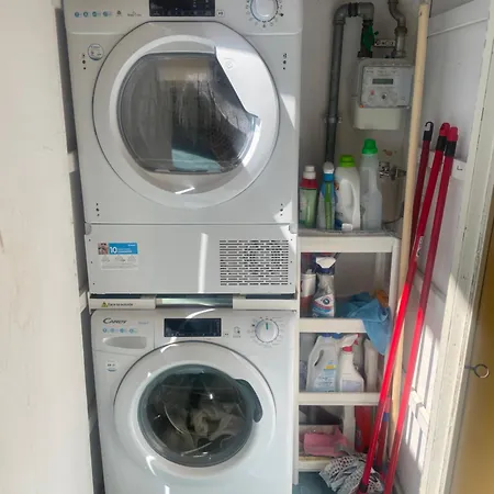 Apartment Water Lily *